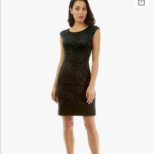 NWT Patty Boutik Lace Sheath Dress